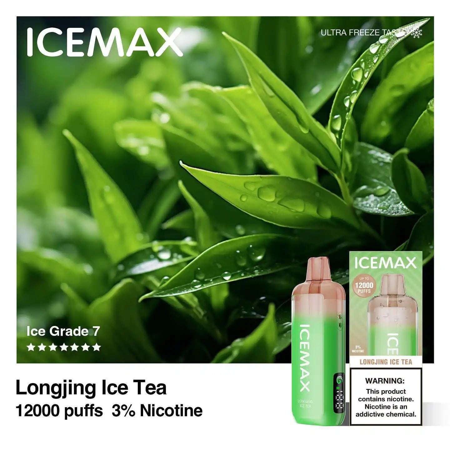 ICEMAX 龍井アイスティー（Longjing Ice Tea）