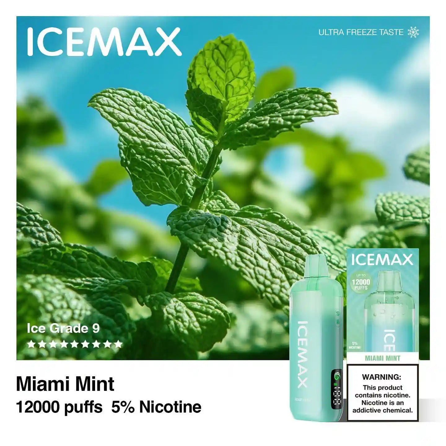ICEMAX マイアミミント（Miami Mint）
