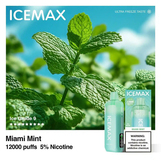 ICEMAX マイアミミント（Miami Mint）