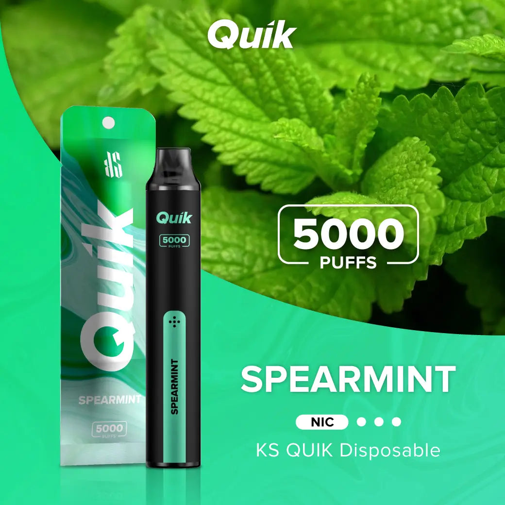 KS Quik 5000 スペアミント（Spearmint）