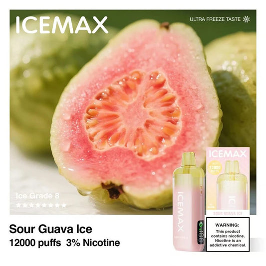 ICEMAX サワーグアバアイス（Sour Guava Ice）